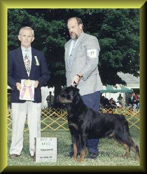 taz1999.jpg - 36589 Bytes