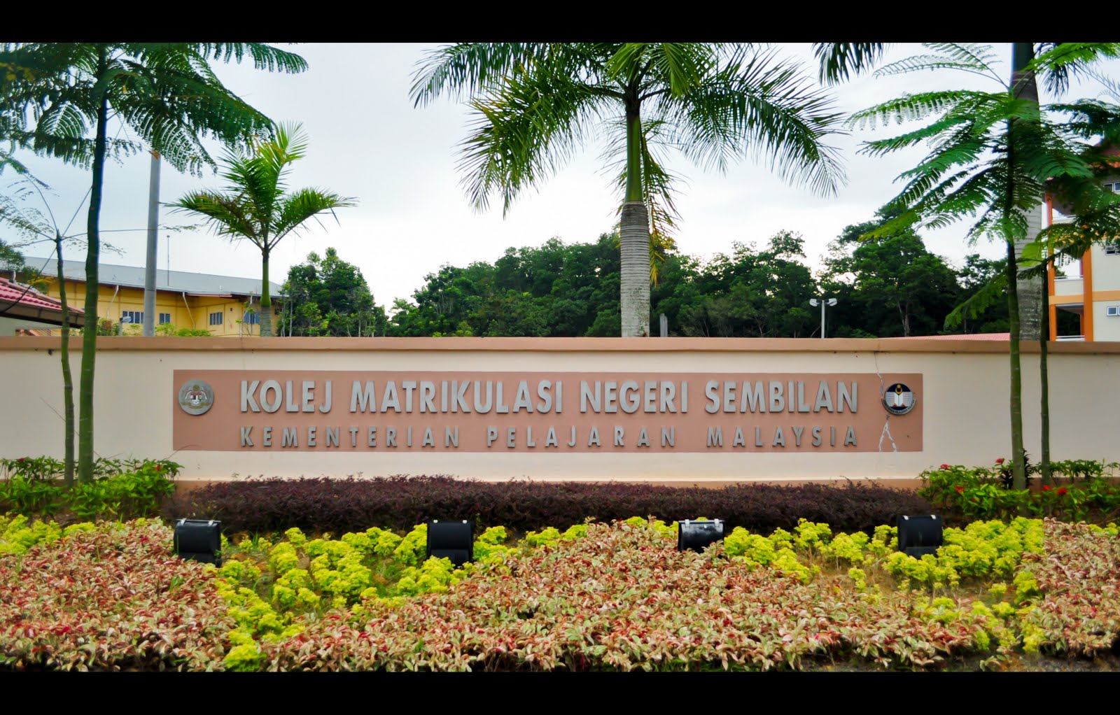 kmns