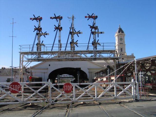 Photograph