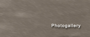 Photo Gallery