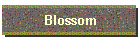 Blossom