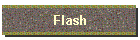 Flash