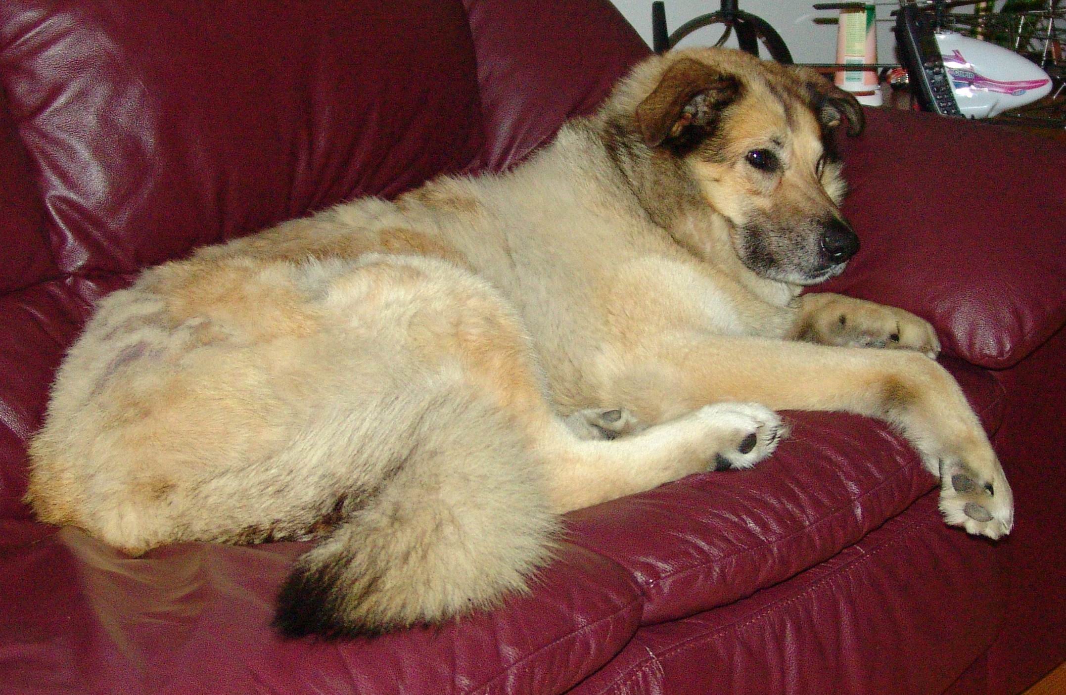 Sascha!