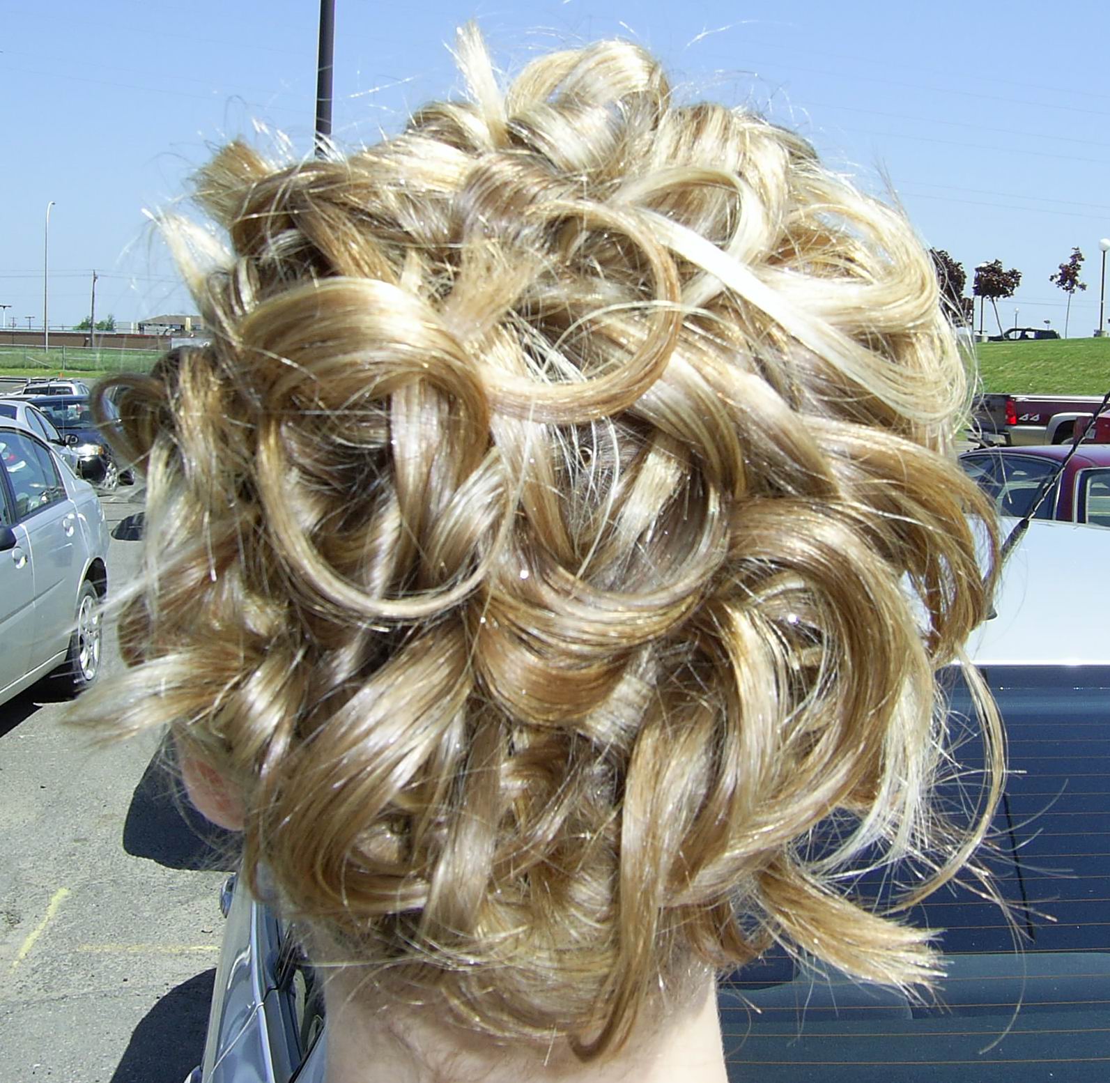 Close-up of the up-do