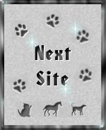 pop_next.jpg (7366
bytes)