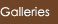 Gallery button