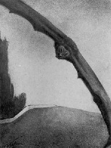 Kubin,Alfred (Austrian, 1877-1959)-The Bat