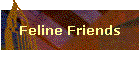 Feline Friends