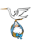 allstork.gif (7495 bytes)