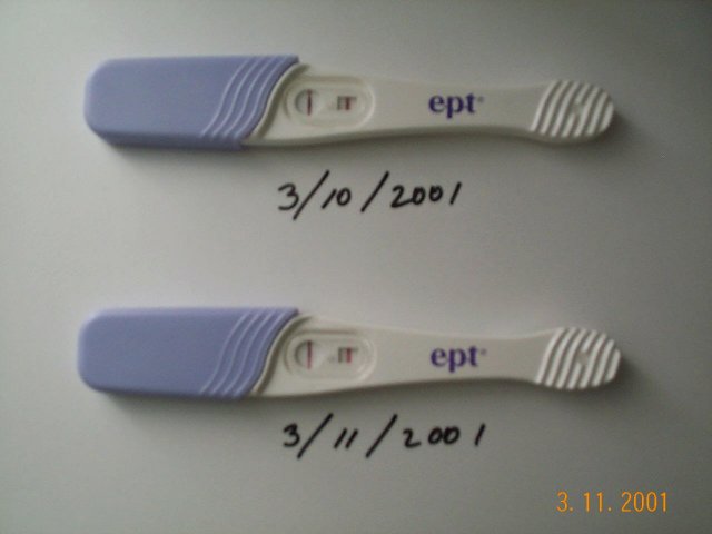 pregnancy test 2.jpg (28119 bytes)