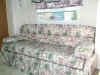 kiwi_sofa.JPG (90600 bytes)
