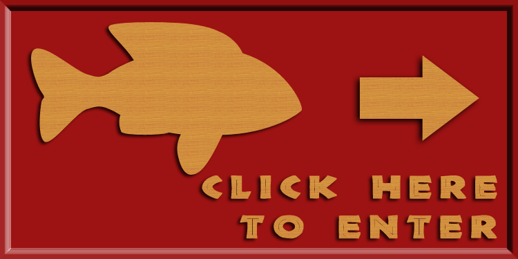 catheter wire, click here to enter!