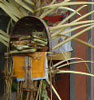 Keke Homestay Sanur Bali Indonesia, cheapest price and reasonable budget, manage by friendliness balinese family
