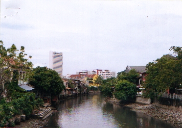 c5.jpg (95028 bytes)