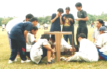 f1.jpg