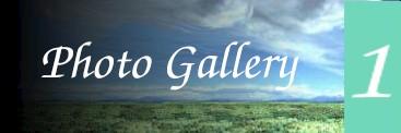 Gallery I