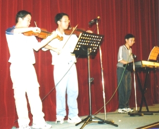 p5.jpg