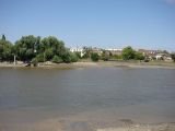 Chiswick Eyot