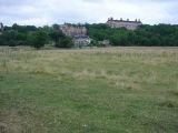 Petersham Meadows