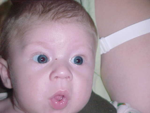 babies are so neat!!!