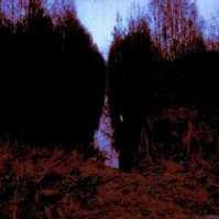 My Arms, Your Hearse Opeth's third album...