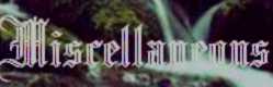 Miscellaneous, Themes, Icons, Curcors...
