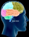 http://www.geocities.com/kelistrikan/200b-neuron.jpg