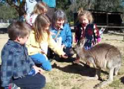 family with a kangaroo at symbios wildlife park