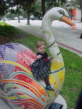 bird rider