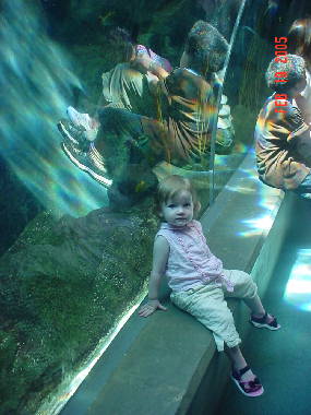 aquarium
