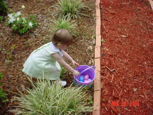 finding eggs