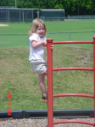 ladder