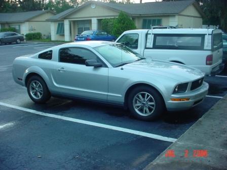 Kelly's Mustang