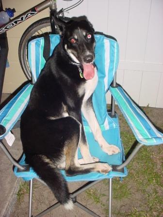 sitting