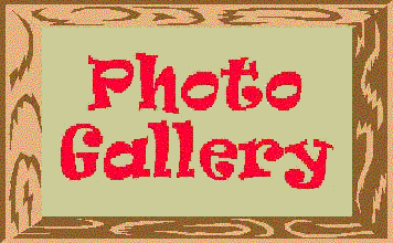 Click here to see our Gallery