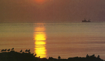 soleil de minuit sur la mer