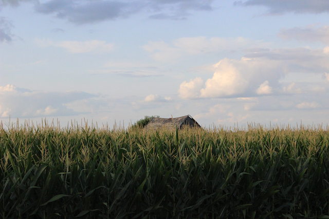 barntop