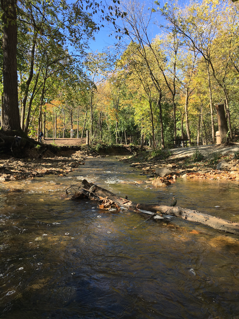 creek