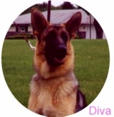 Diva
