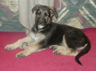Kona