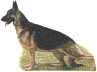 Stockbroker