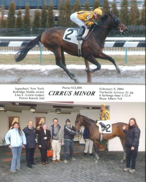 Cirrus Minor