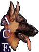 Ace's Page