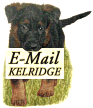 Kryptica@aol.com