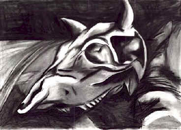 charcoal on paper
