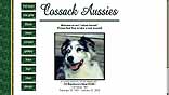 Cossack Aussies