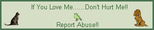 stop abuse