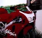 Ninja detail