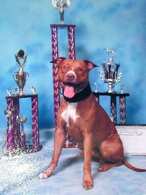 Click on photo to see pedigree.