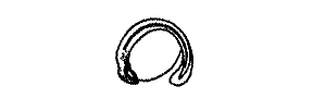 Fishbase